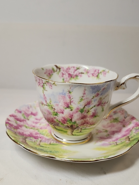 Royal Albert Other - Vintage Royal Albert Pink Blossom Time Teacup with Saucer